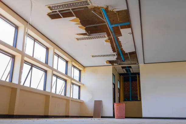Best Water damage contractors near me  in Woodbury Center, CT
