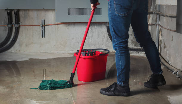 Best Sewage cleanup and water damage restoration  in Woodbury Center, CT