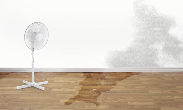 Best Fire Damage Restoration  in Woodbury Center, CT