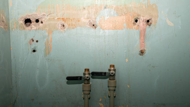 Best Residential water damage restoration  in Woodbury Center, CT