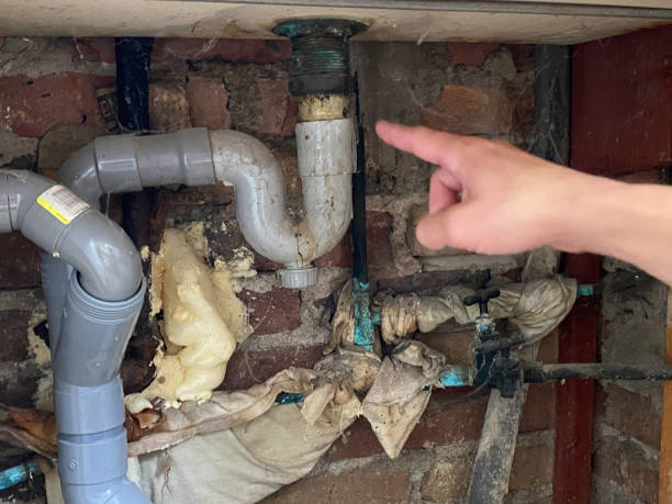 Best Professional water damage repair  in Woodbury Center, CT