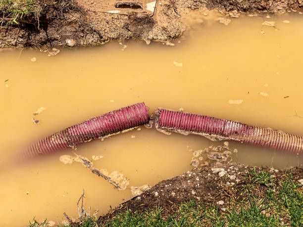 Best Water damage cleanup near me  in Woodbury Center, CT