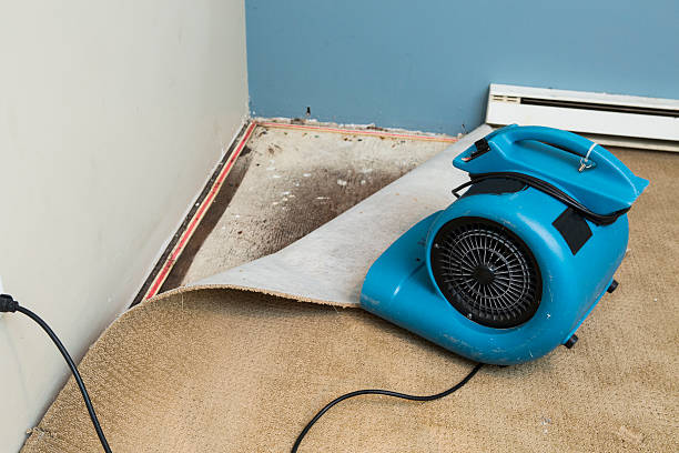 Best Water damage restoration near me  in Woodbury Center, CT